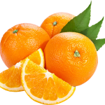 orange_PNG791