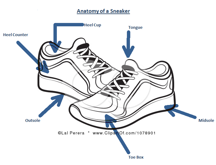Running gear guide: Anatomy of a Running Shoe - HealthifyMe Blog