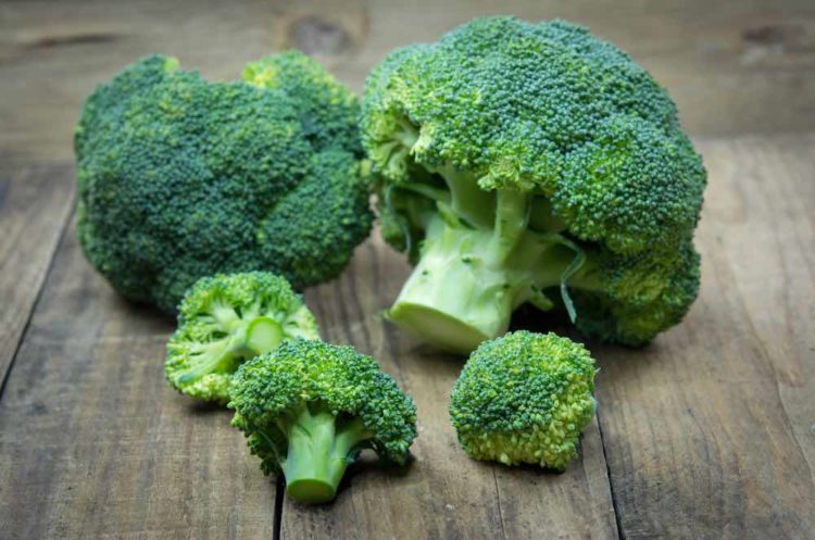 Brocolli - HealthifyMe Blog