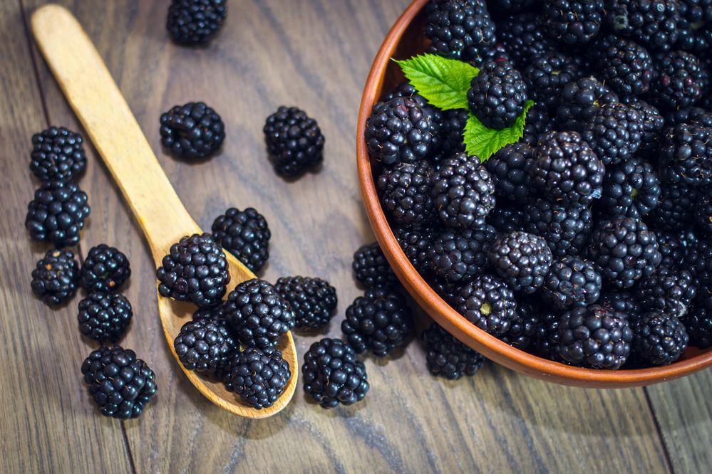 blackberry fruit color