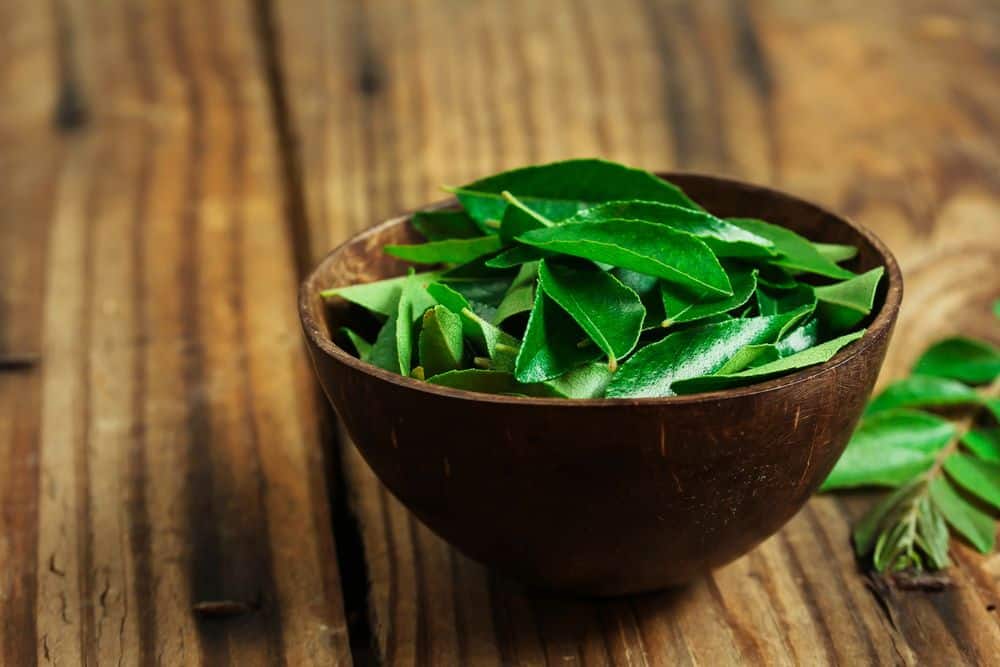 Curry Leaves Benefits Nutrition And Recipes Blog HealthifyMe