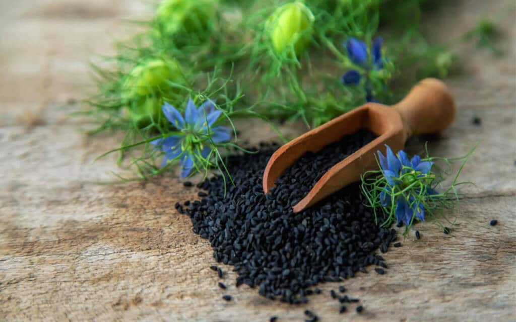 kalonji-seeds-benefits-nutrition-recipes-healthifyme