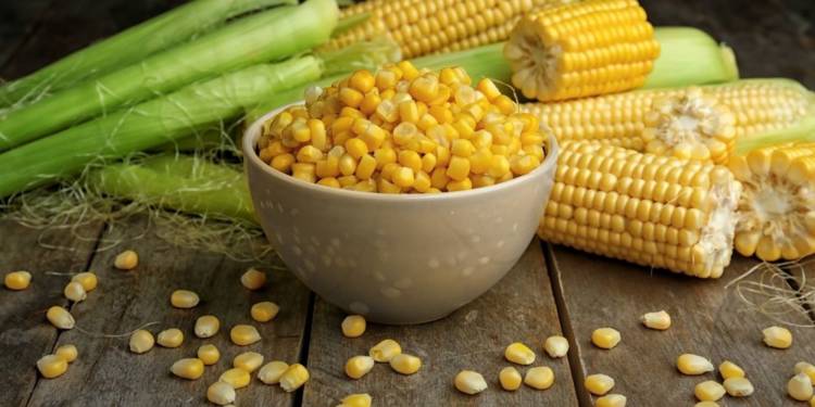 sweet-corn-benefits-everything-you-need-to-know-healthifyme