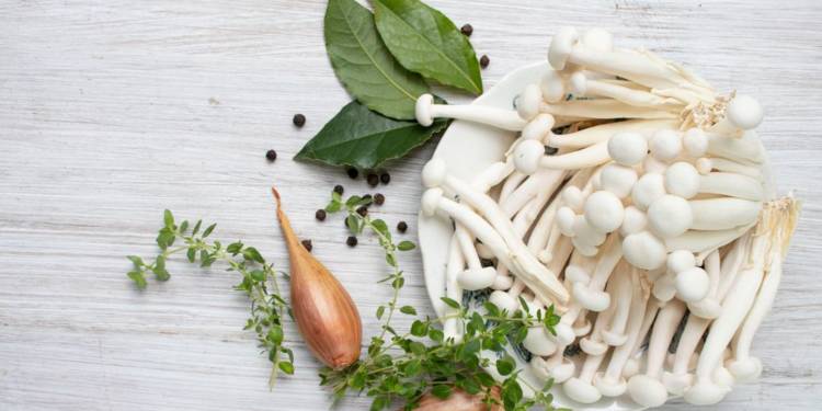 Oyster Mushrooms: Health Benefits, Recipes, And More- HealthifyMe