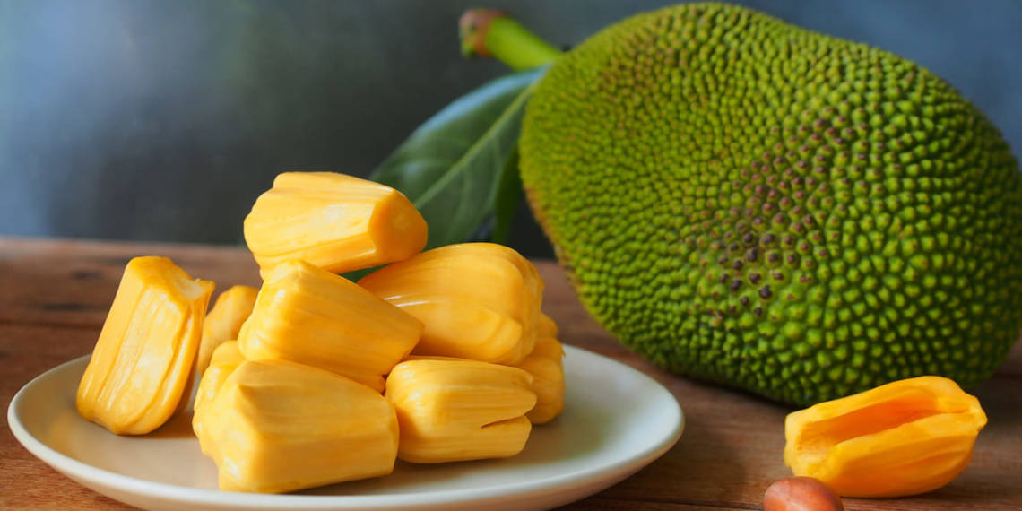 Jackfruit Benefits Nutritional Values Precautions And Uses Healthifyme