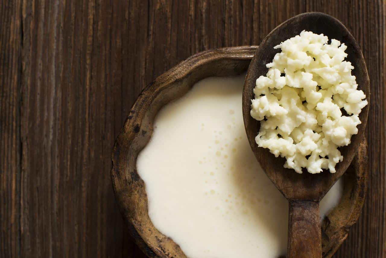 Eating Kefir Grains could flatten your tummy: Kefir Grains Recipes –  Nourishme Organics