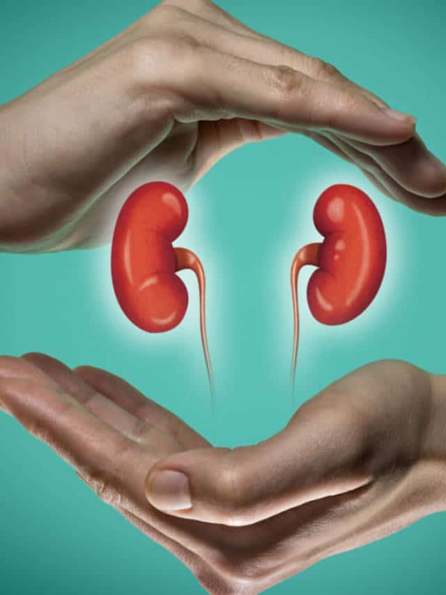 https://www.healthifyme.com/blog/web-stories/can-foods-cause-kidney-stones/