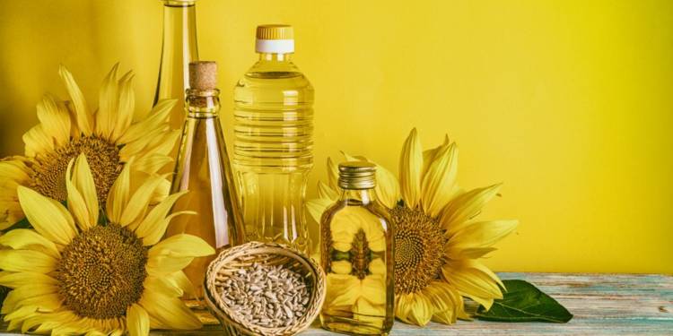 Sunflower Oil - Is It Good For You? - HealthifyMe