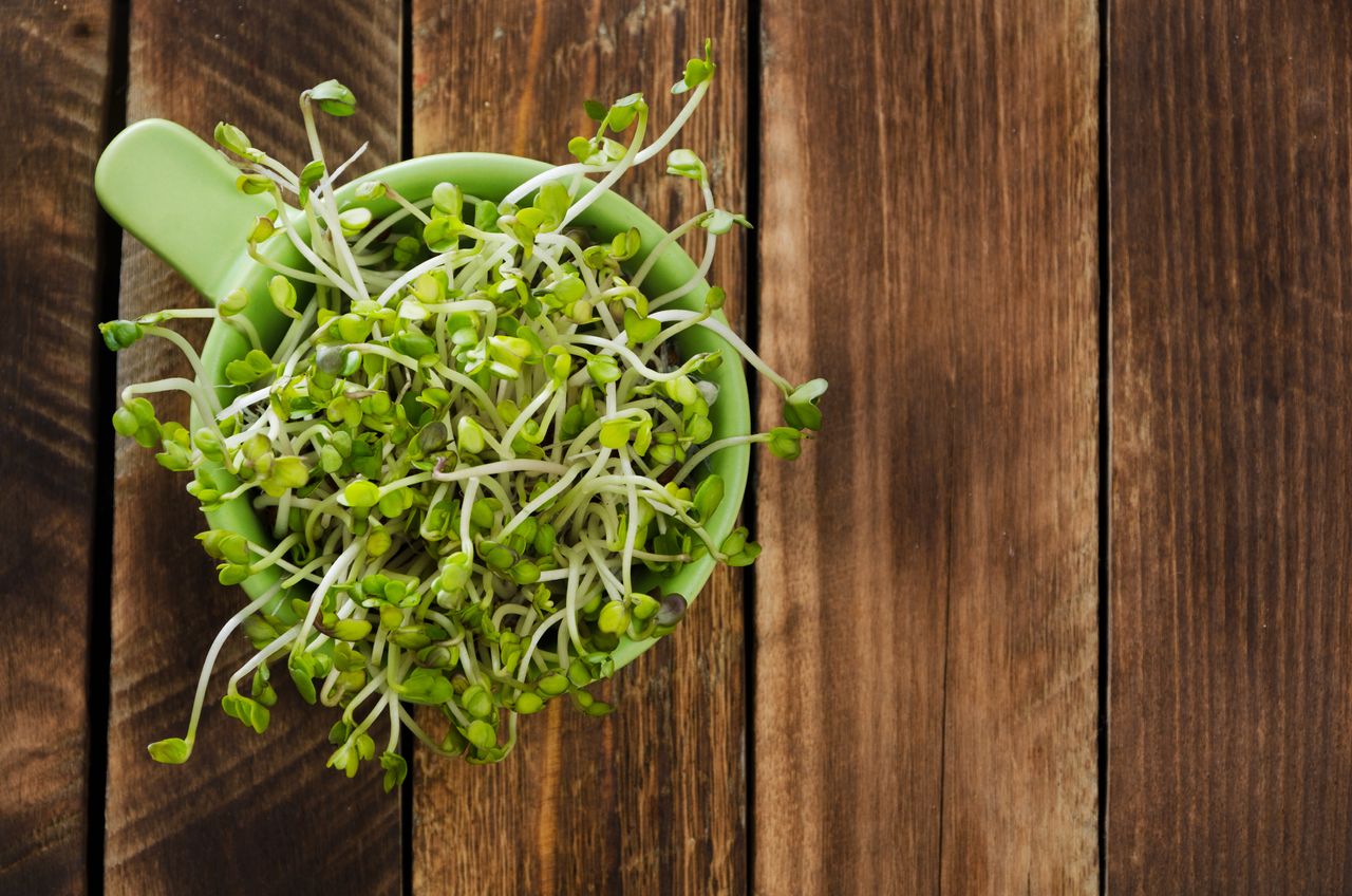 10 Health Benefits Of Alfalfa Sprouts Blog HealthifyMe