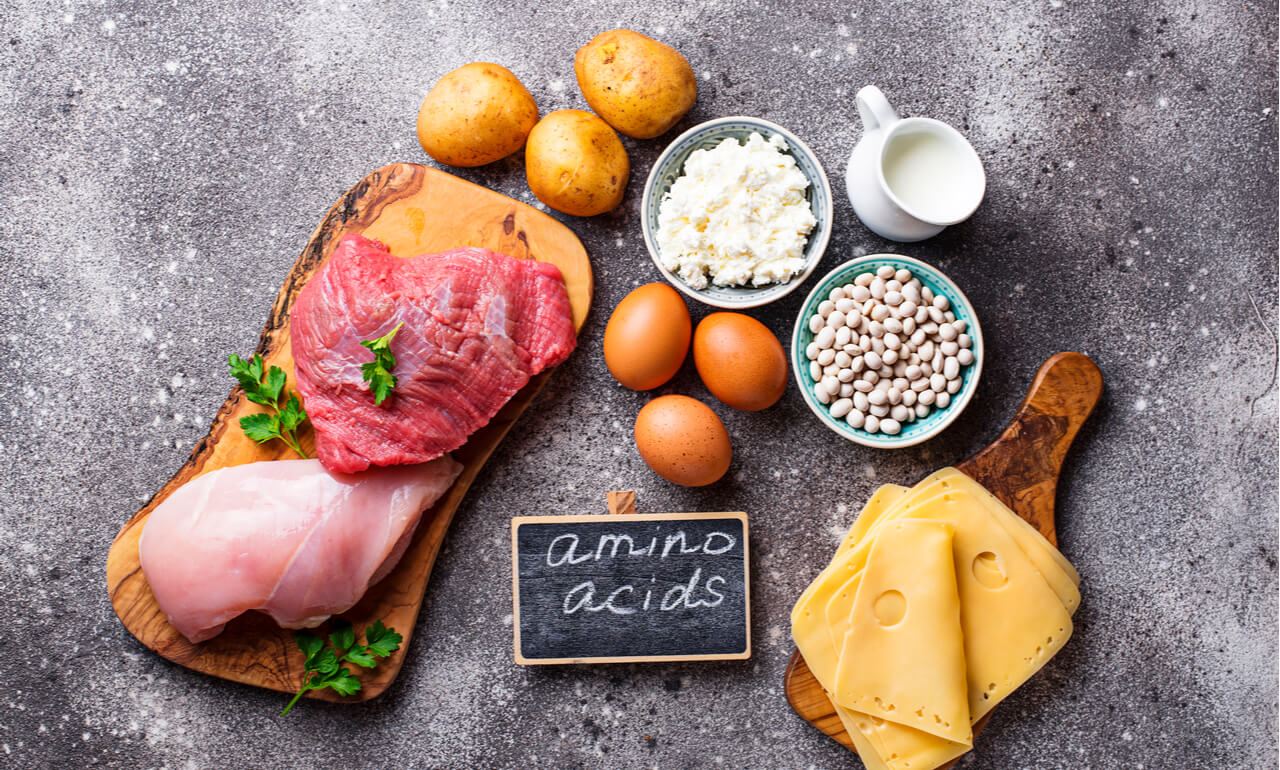 amino acids foods