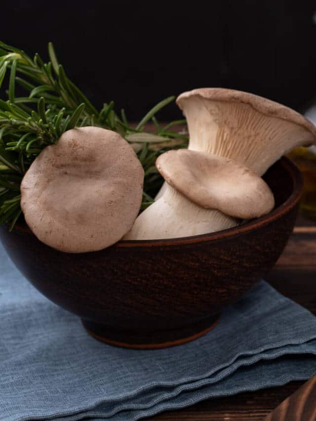 6 Health Benefits Of Oyster Mushrooms - HealthifyMe