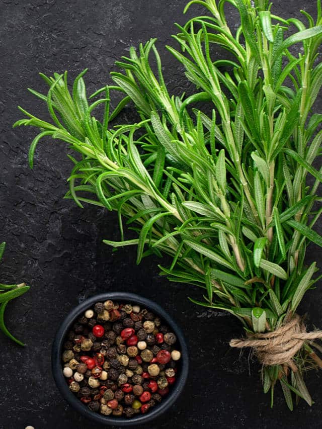 https://www.healthifyme.com/blog/web-stories/benefits-of-rosemary/