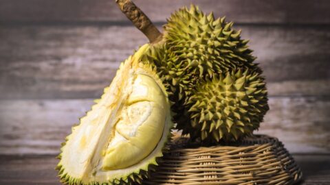 Durian: The King of Fruits- HealthifyMe