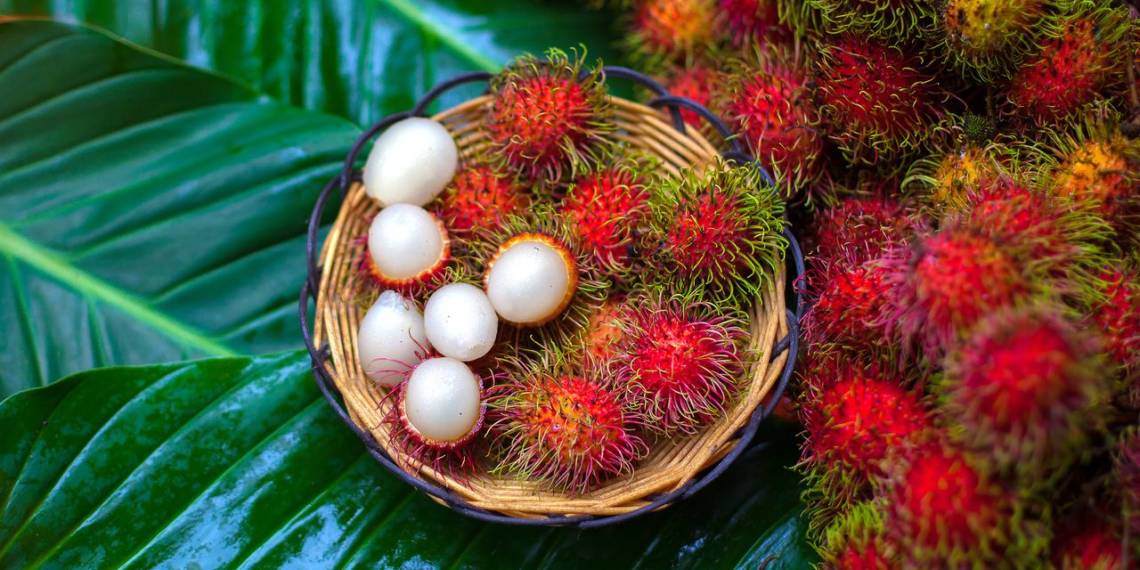 Rambutan Nutrition Health Benefits And Recipes Healthifyme