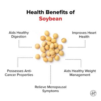 Soybean - Benefits, Nutrition Value & Recipes - HealthifyMe