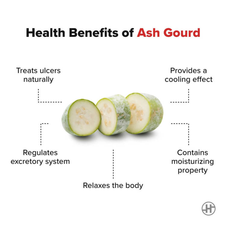 Ash Gourd - Benefits, Recipes, And More - Healthifyme