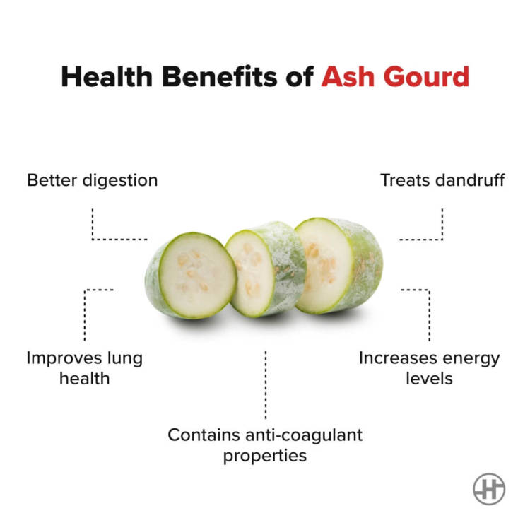 ash-gourd-benefits-recipes-and-more-healthifyme