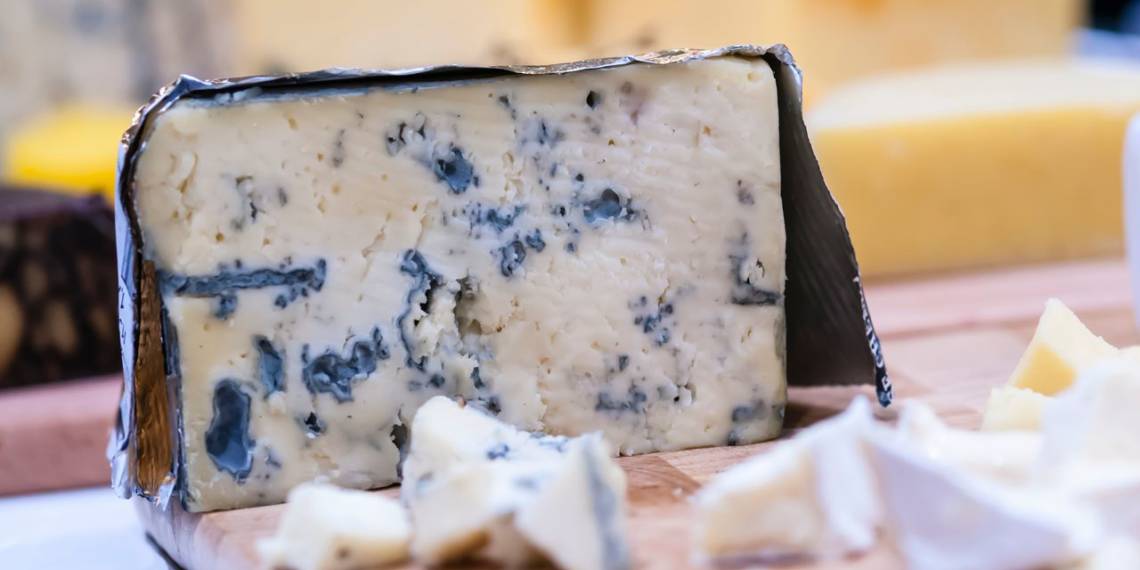 Moldy Cheese: Is It Safe To Eat?- HealthifyMe