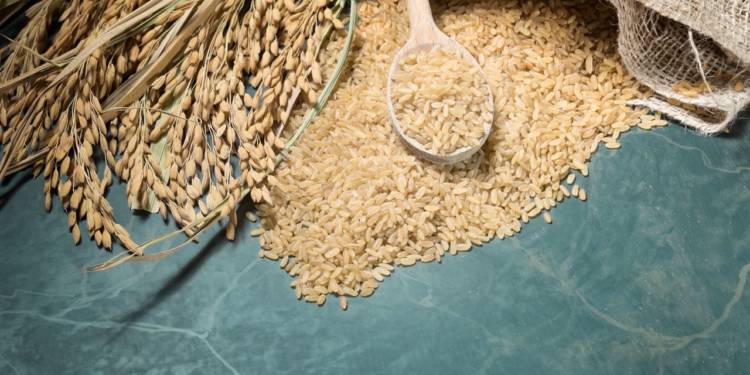 is-brown-rice-safe-if-you-have-diabetes-healthifyme