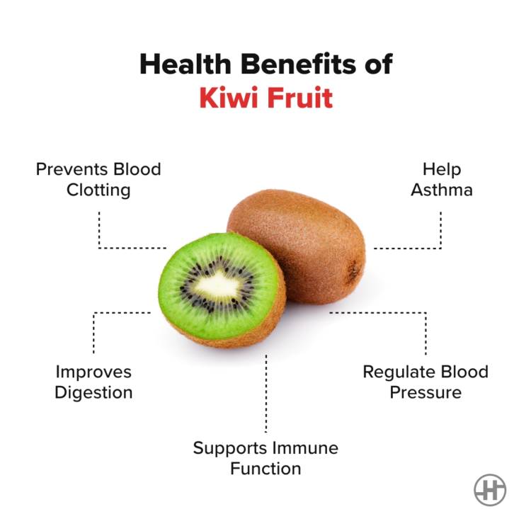 Kiwi Fruit - Benefits, Nutrition, & Kiwi for Weight Loss - HealthifyMe