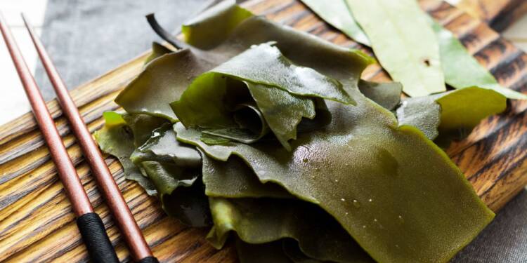 Kelp: Nutritional Facts And Health Benefits- HealthifyMe