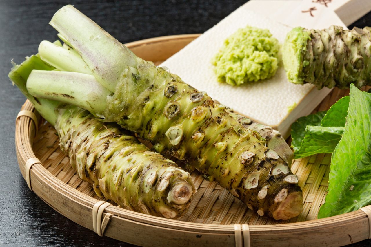 What Is Wasabi - Tips For Using Wasabi Vegetable Root