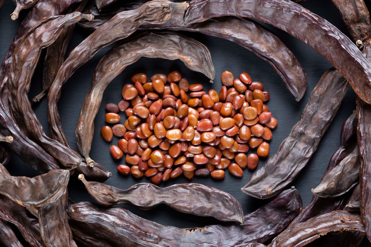 Locust Bean Gum A Nutritious Overview HealthifyMe