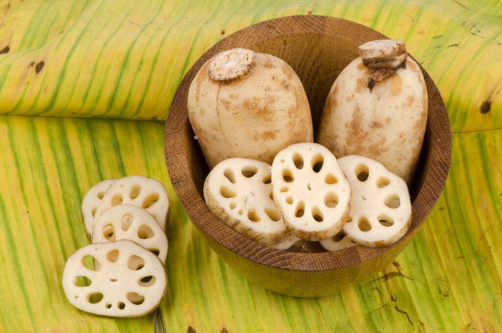 Lotus Root The Versatile Rhizome With Many Health Benefits Healthifyme 9512