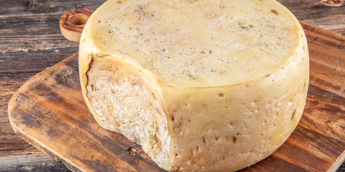 Gruyere Cheese: Nutritional Properties And Health Benefits - HealthifyMe