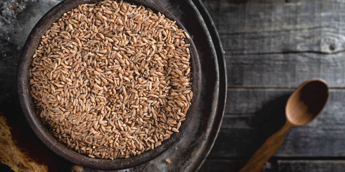 Kamut - The Ancient Egyptian Grain - HealthifyMe