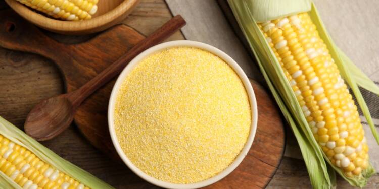 cornmeal-a-meal-full-of-nutrients-healthifyme