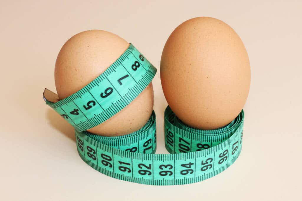 is-eggs-good-for-weight-loss-find-out-blog-healthifyme