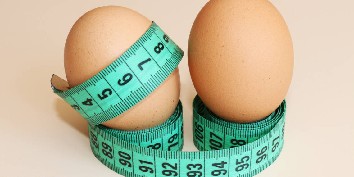 Is Eggs Good For Weight Loss Find Out Blog HealthifyMe