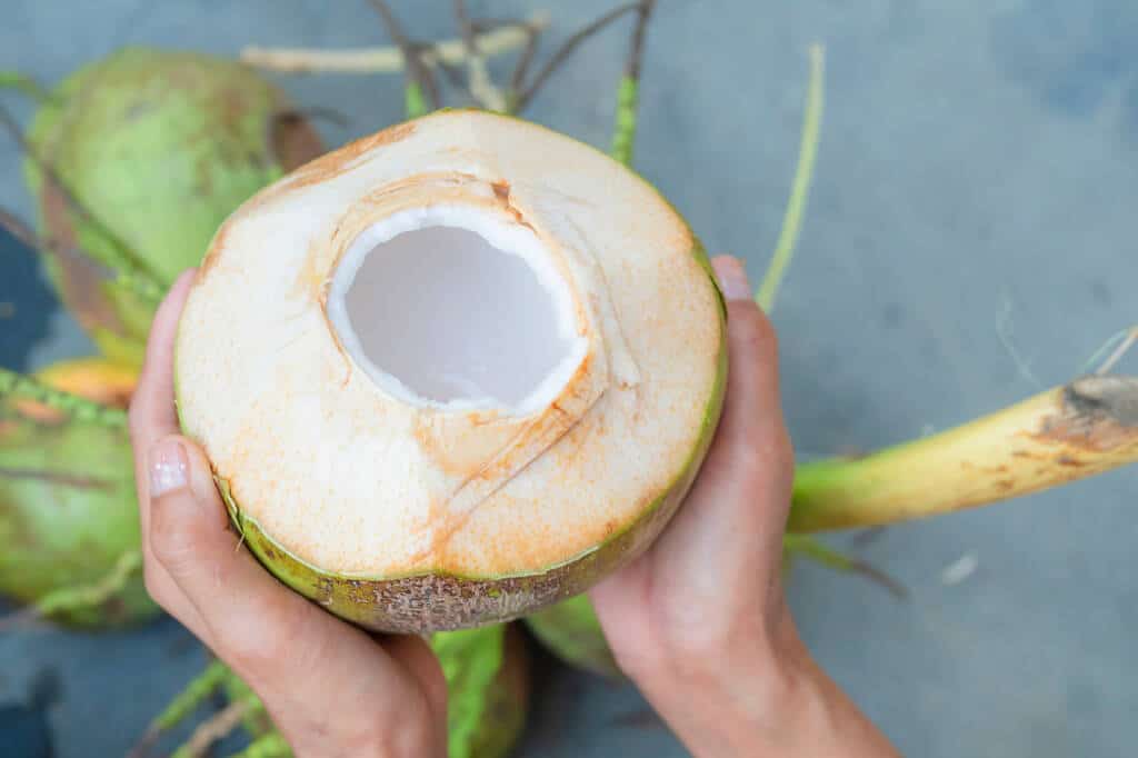 does-coconut-water-increase-blood-sugar-gi-value-blog-healthifyme