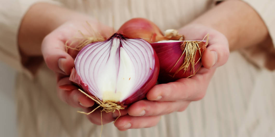 Is Onion Good For Fat Loss