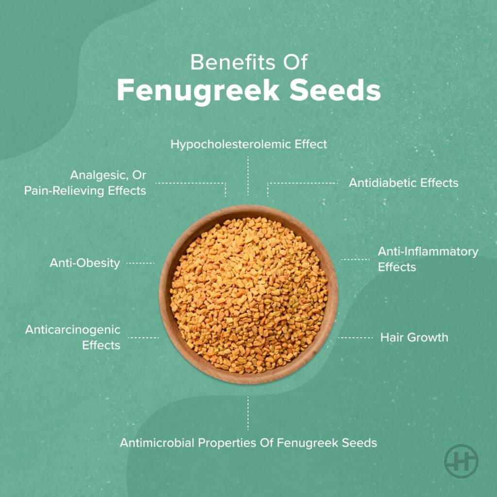 Fenugreek Seeds Benefits Nutritional Value And Ways To Use Healthifyme