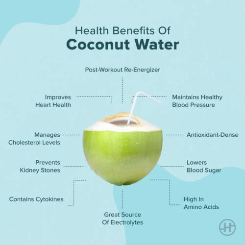 Coconut Water Benefits, Nutritional Value & Precautions HealthifyMe