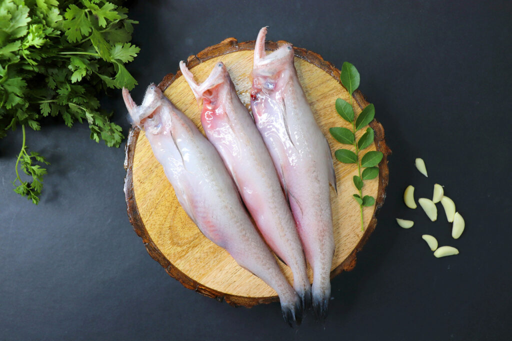 Bombay Duck: A Fish Devoted To Your Good Health: HealthifyMe