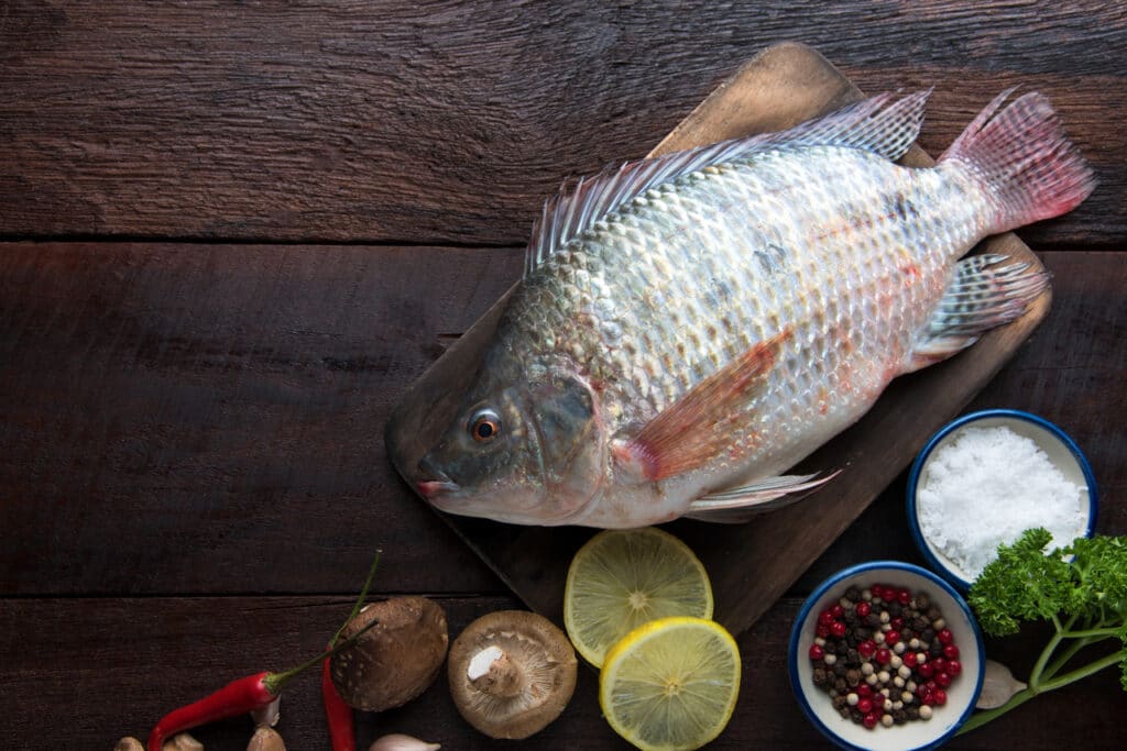 Tilapia- Nutritional Benefits, Health Benefits-HealthifyMe